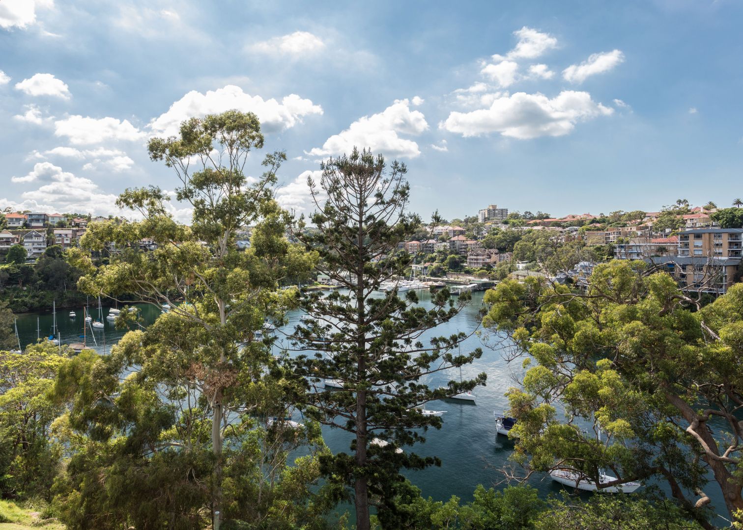 39 Kareela Road, Cremorne Point NSW 2090, Image 1