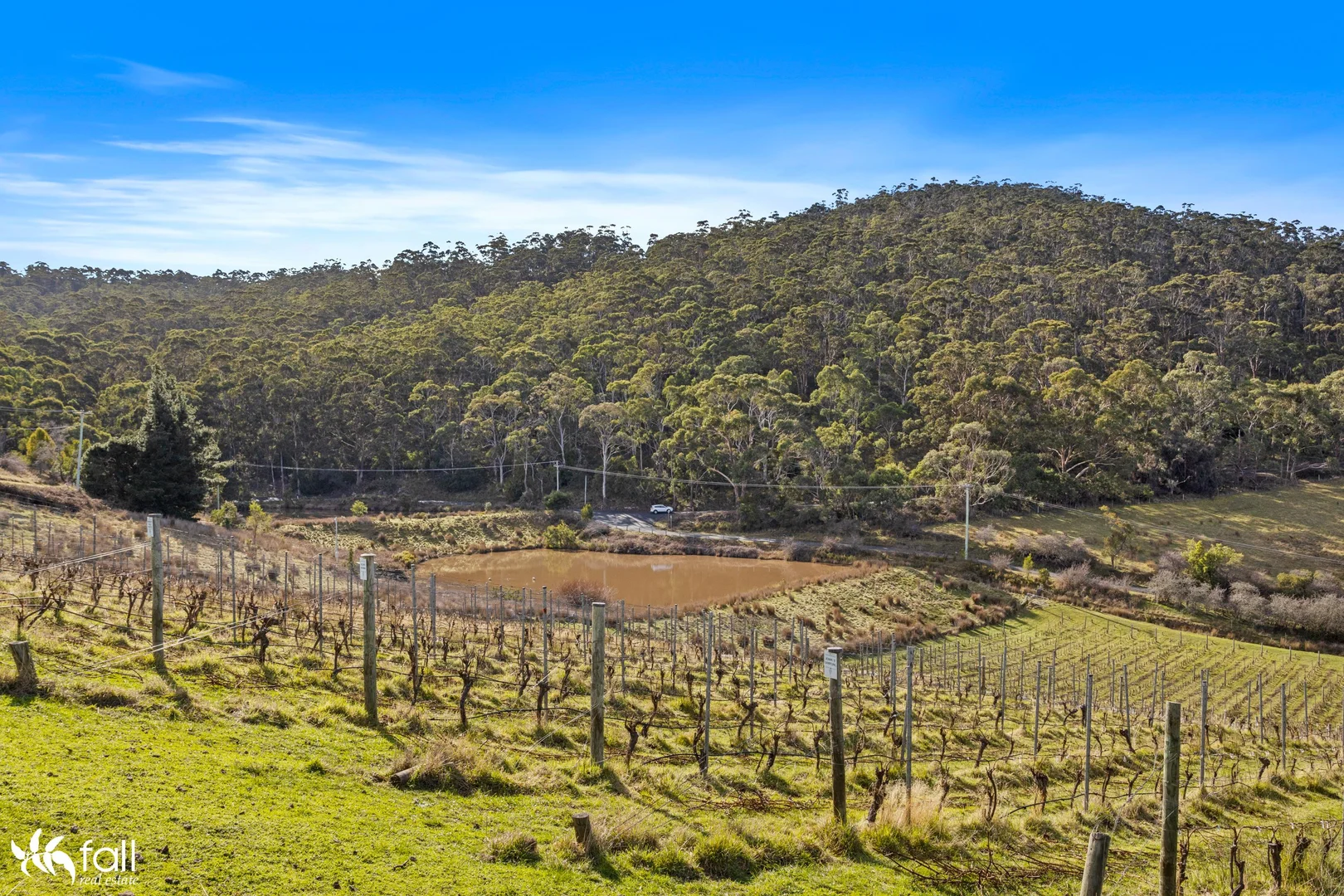 Additional image 19 of 441 Tinderbox Road, Tinderbox TAS 7054