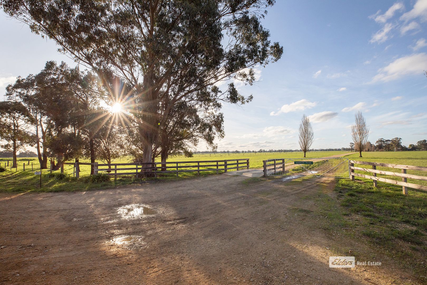 247 Schultzs Road, Naracoorte SA 5271, Image 2