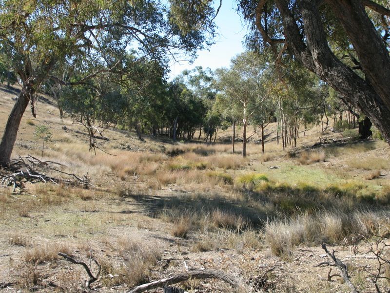 Lot 18 Sprindale Road, Stanthorpe QLD 4380, Image 1