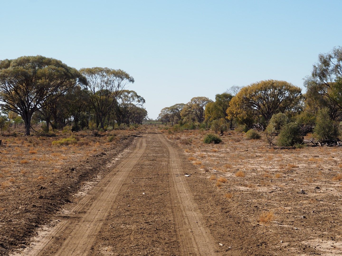 Barcaldine QLD 4725, Image 0