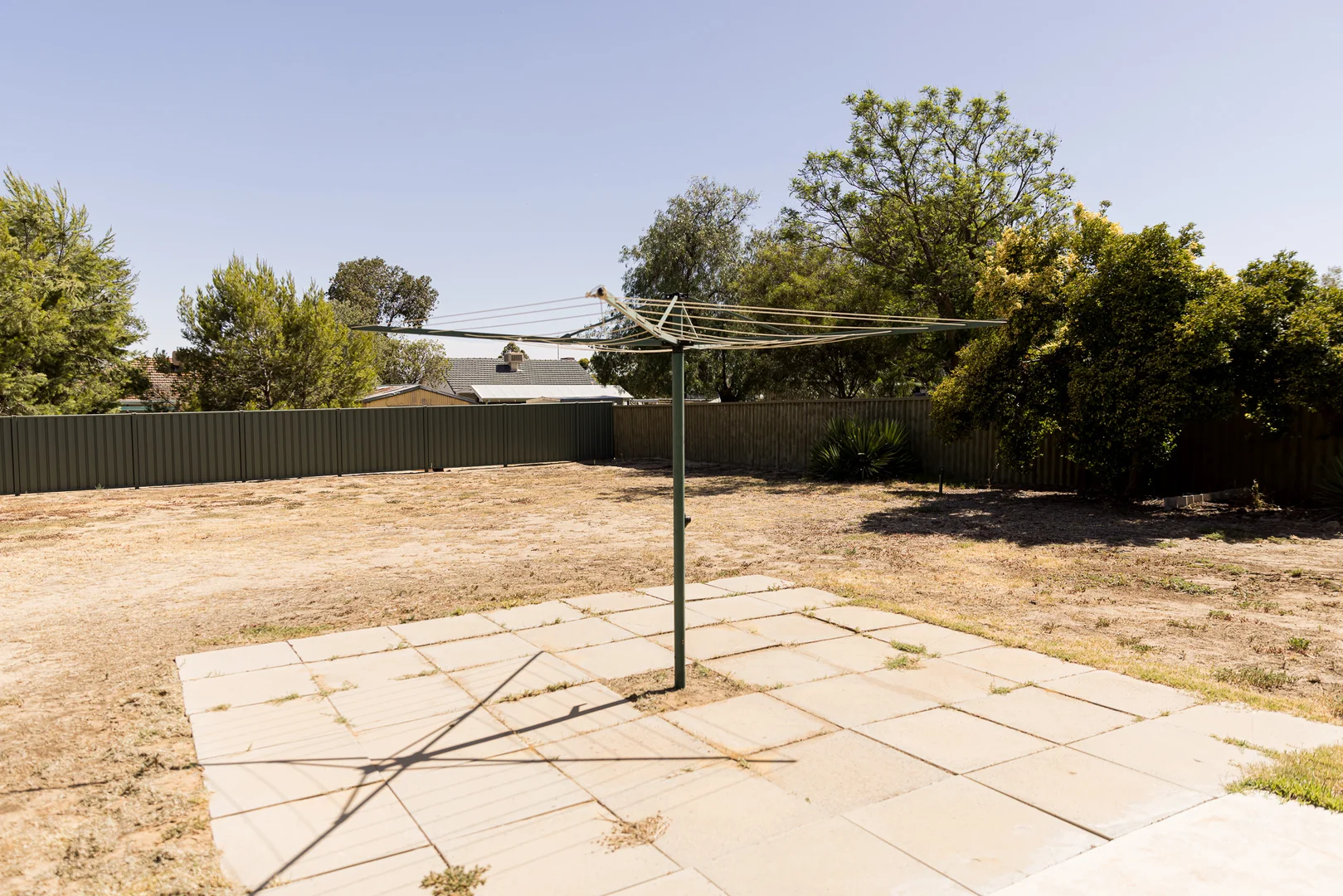 Image 19