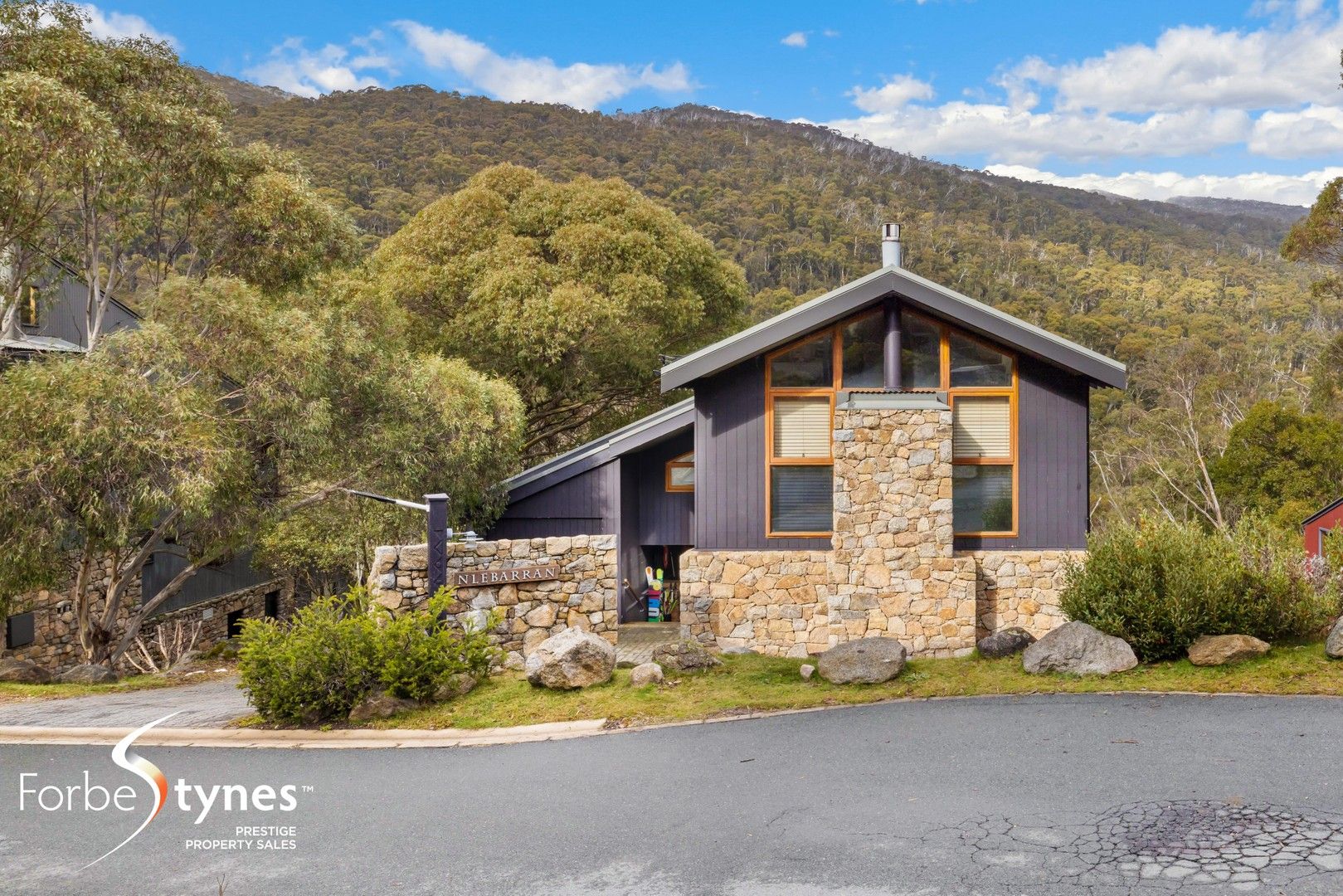 3/Neebarran Crackenback Drive, Thredbo NSW 2625, Image 1