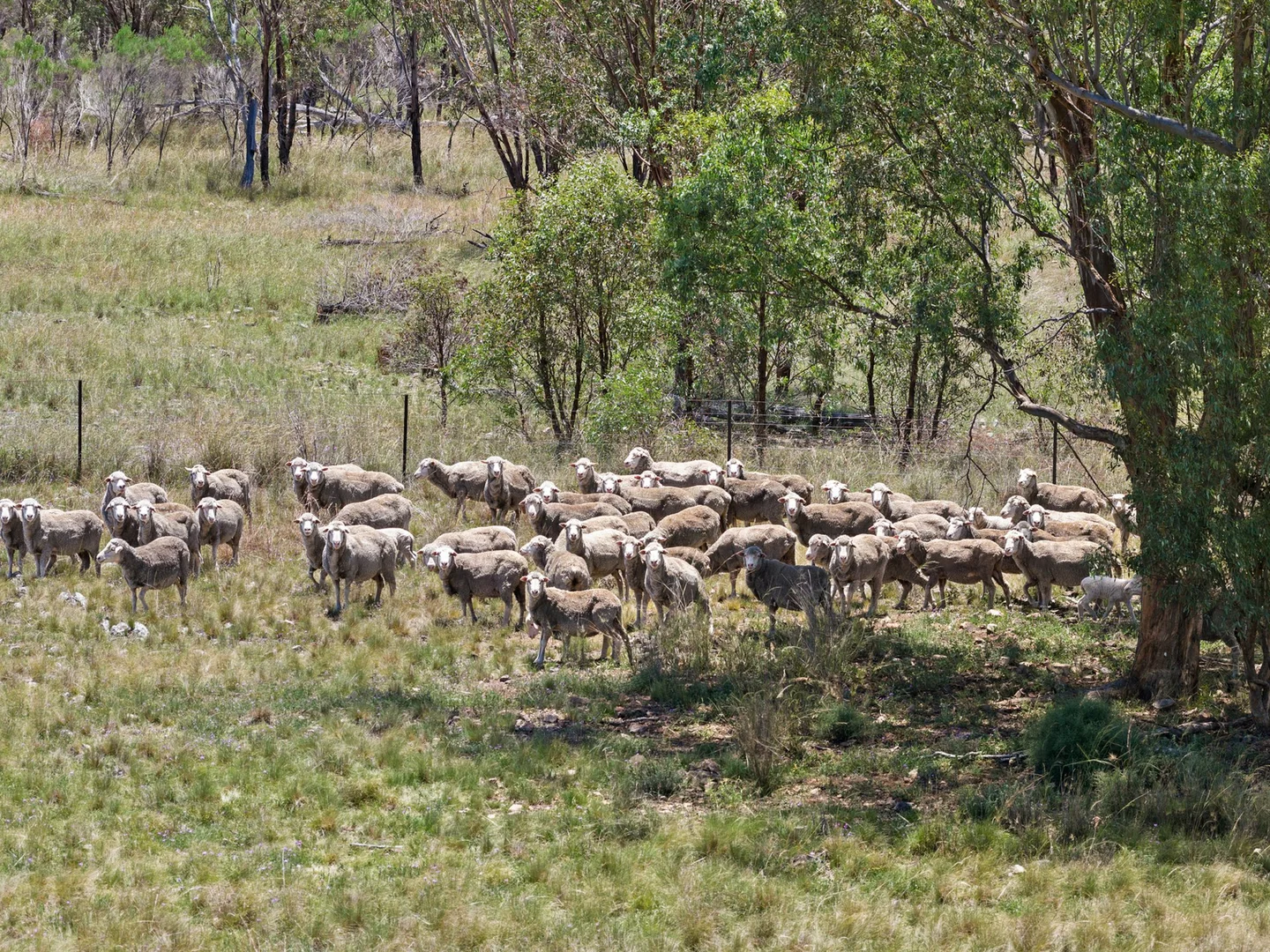 Image 18