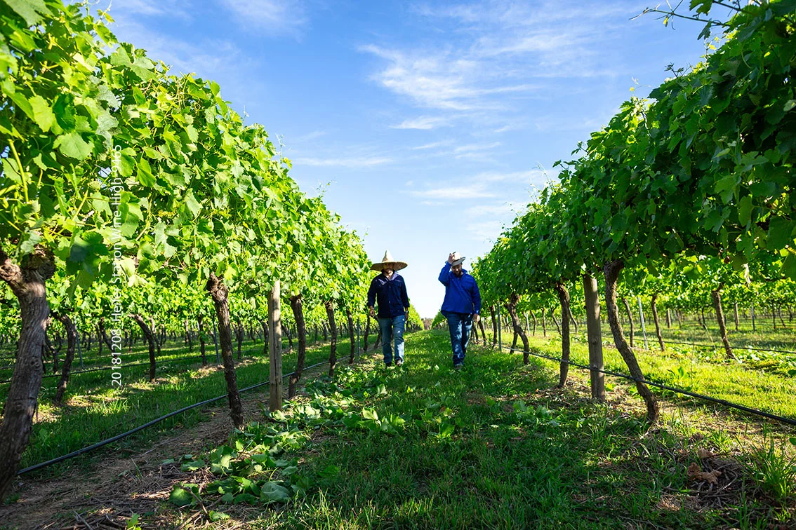 Additional image 14 of 1034 The Escort Way, Orange NSW 2800