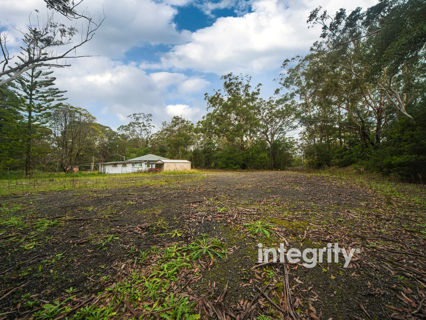 Image 10