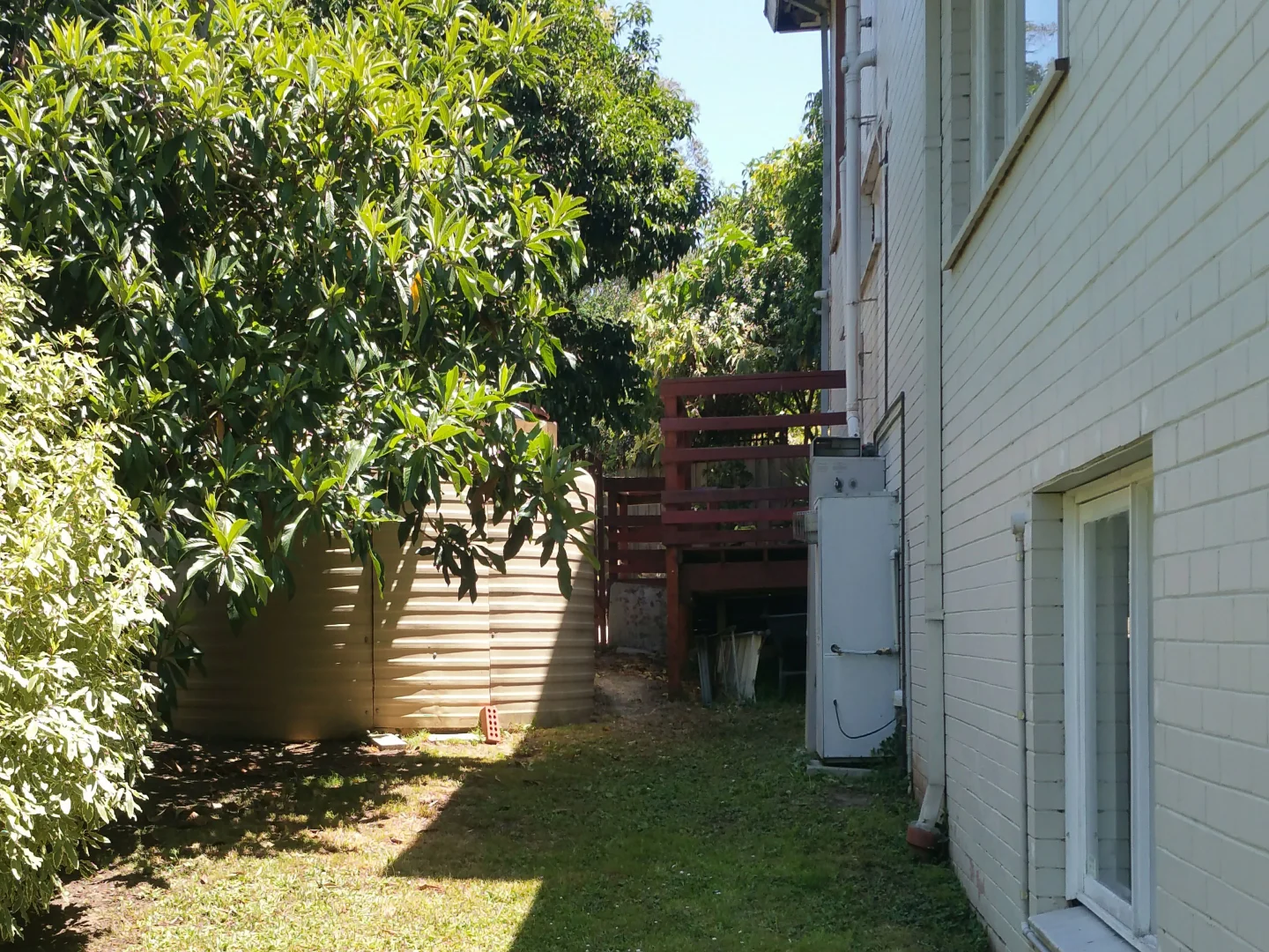 Image 15