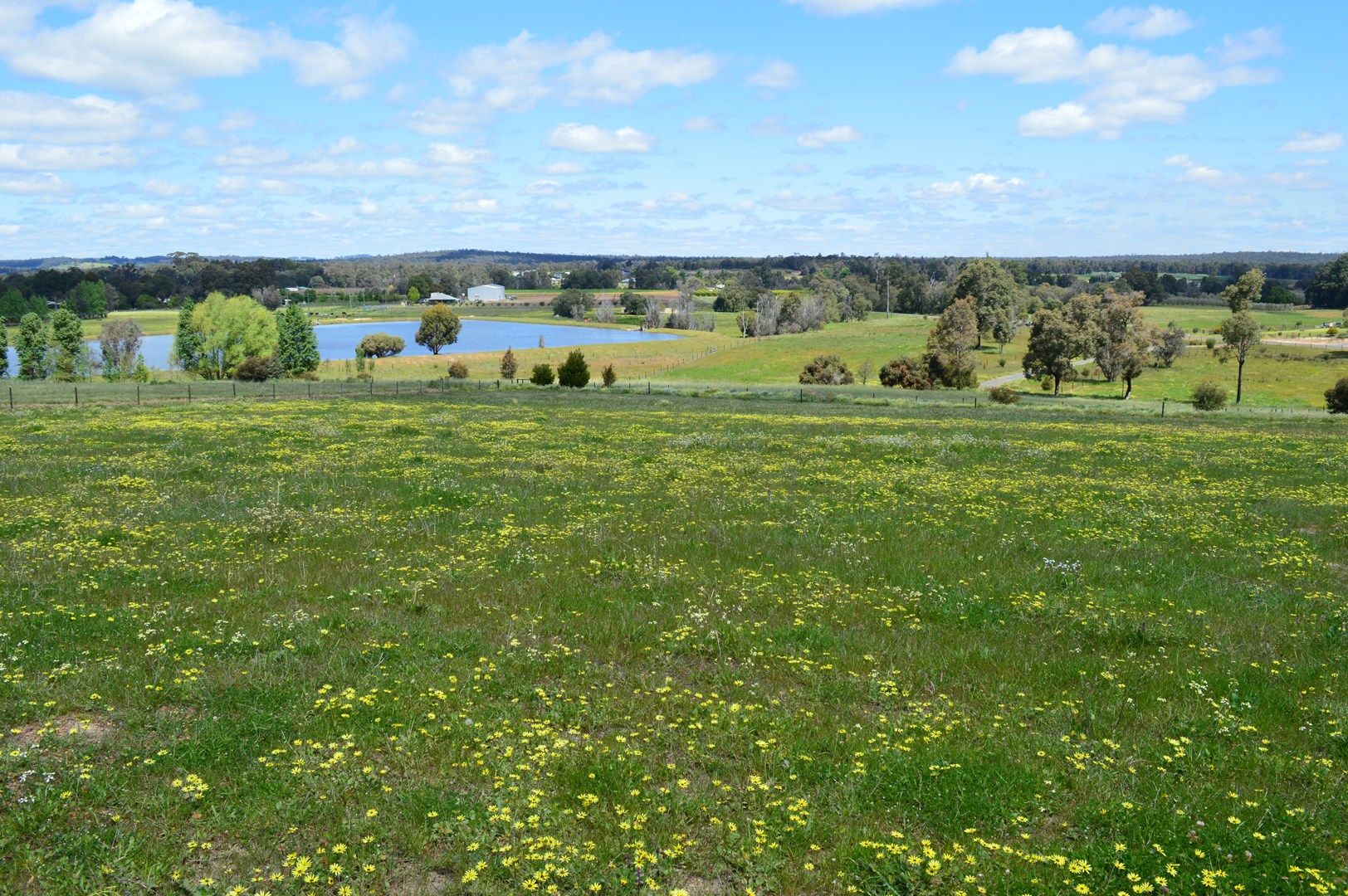 Lot 3319 Scaffidi Place, Donnybrook WA 6239, Image 0