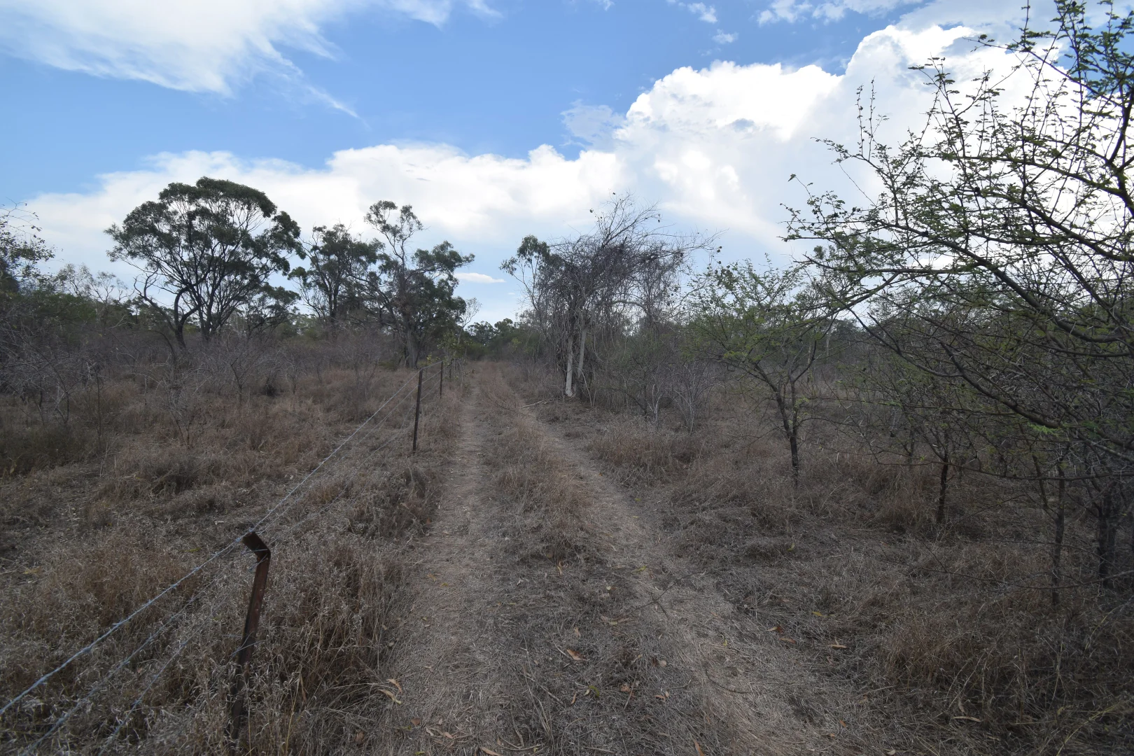 Additional image 6 of 8 Coventry Road, Guthalungra QLD 4805