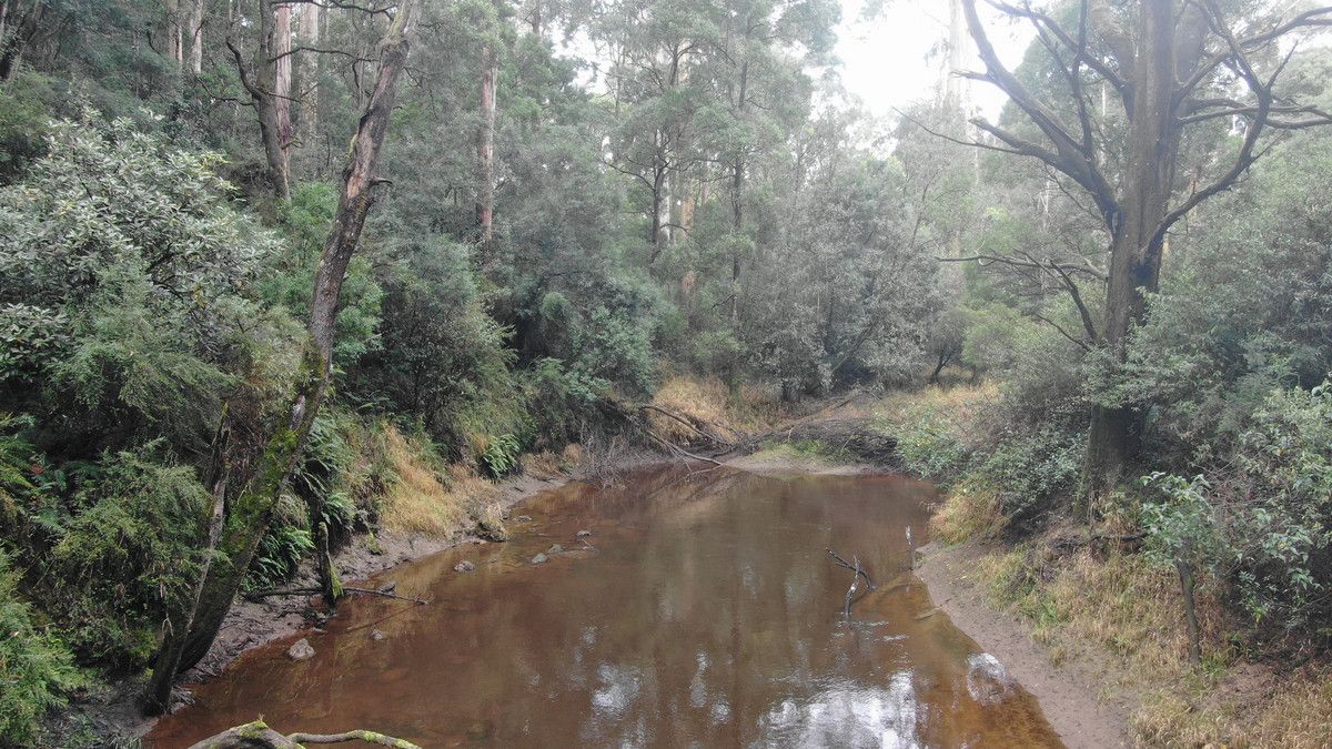 900 Westwicks Road, Carlisle River VIC 3239 House for Sale Domain