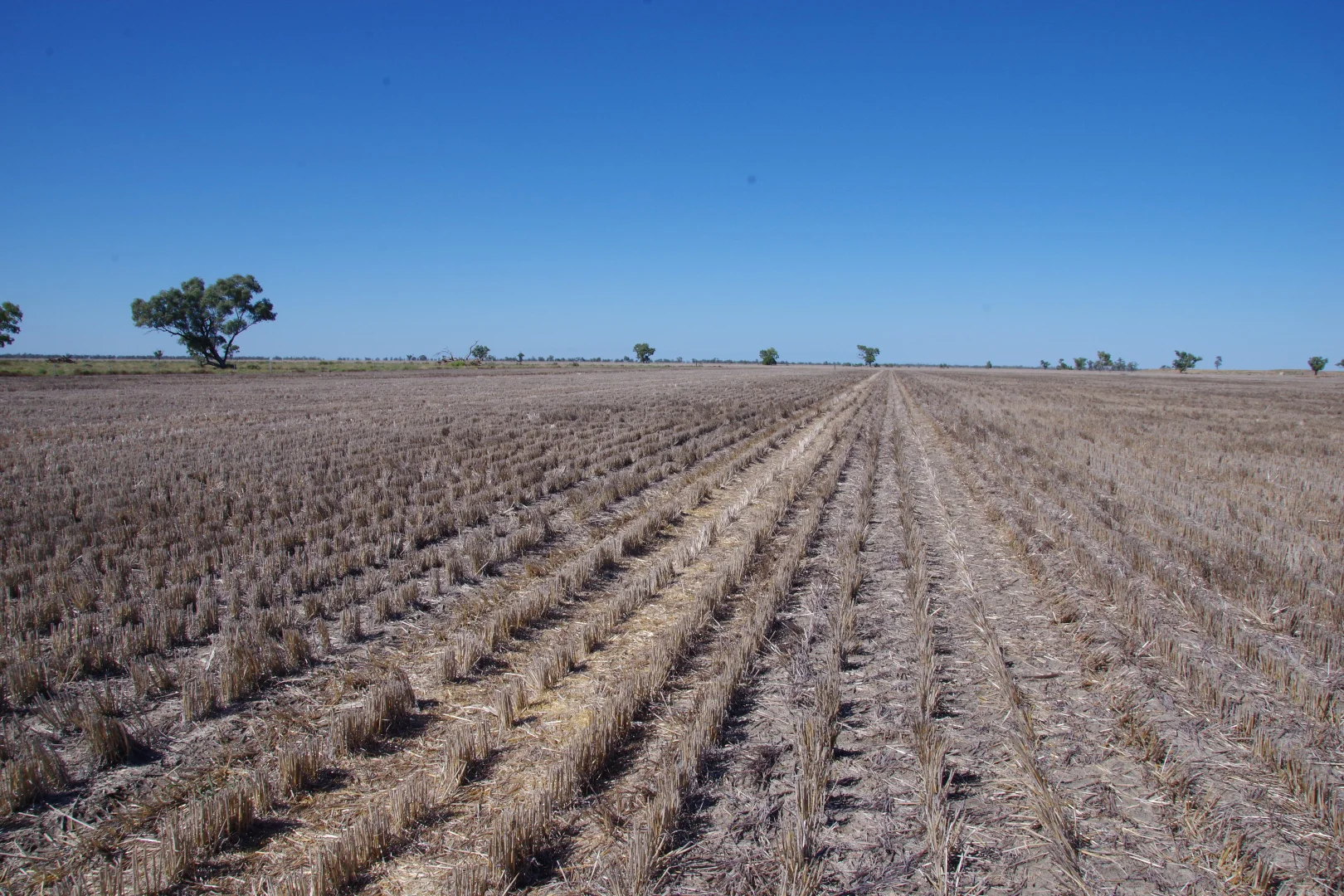 Additional image 4 of . Sunnyside Lane, Wee Waa NSW 2388