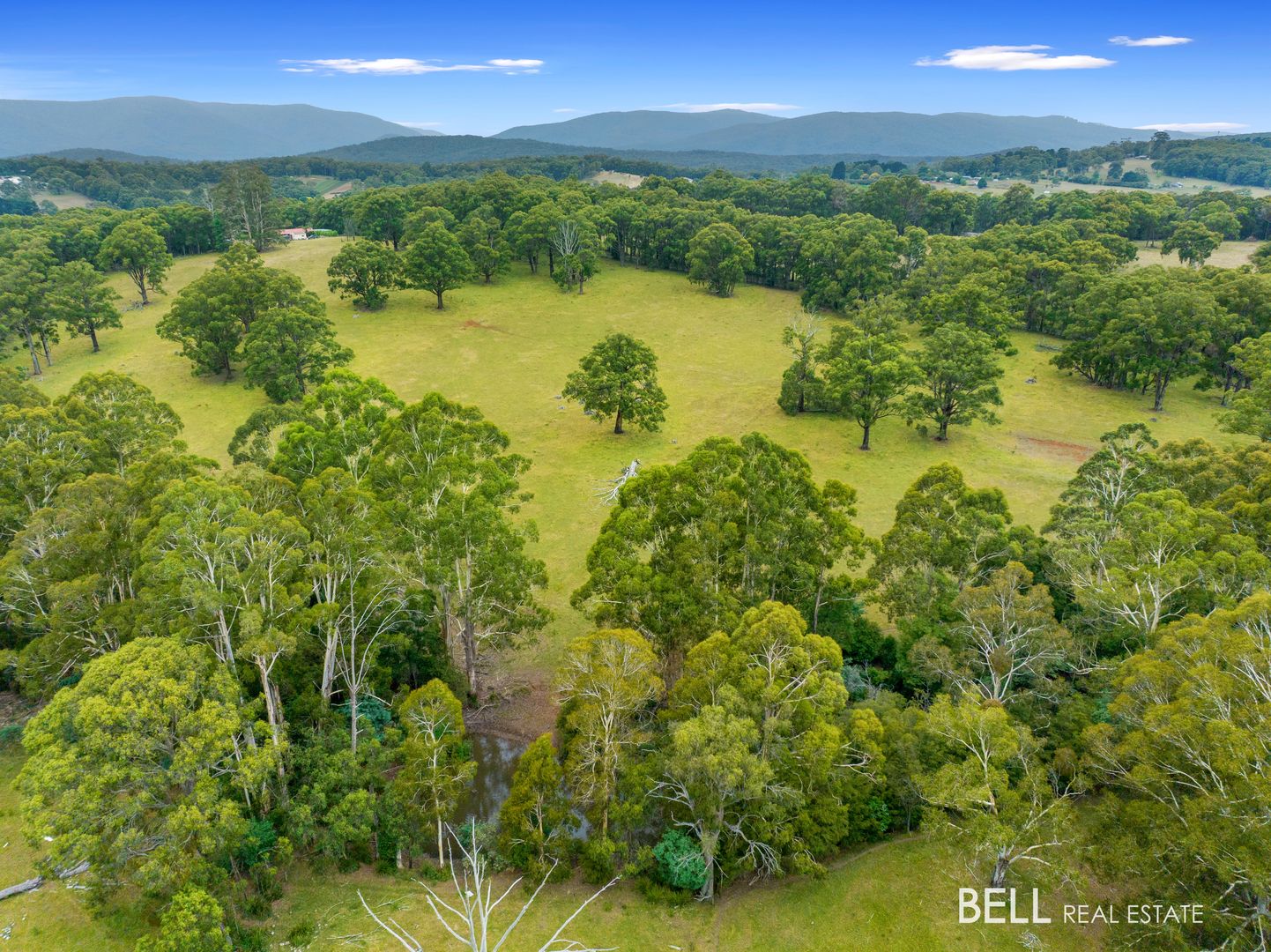 170 Eacotts Road, Hoddles Creek VIC 3139, Image 2