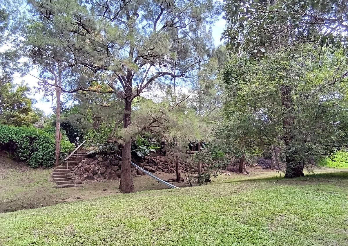 Image 41