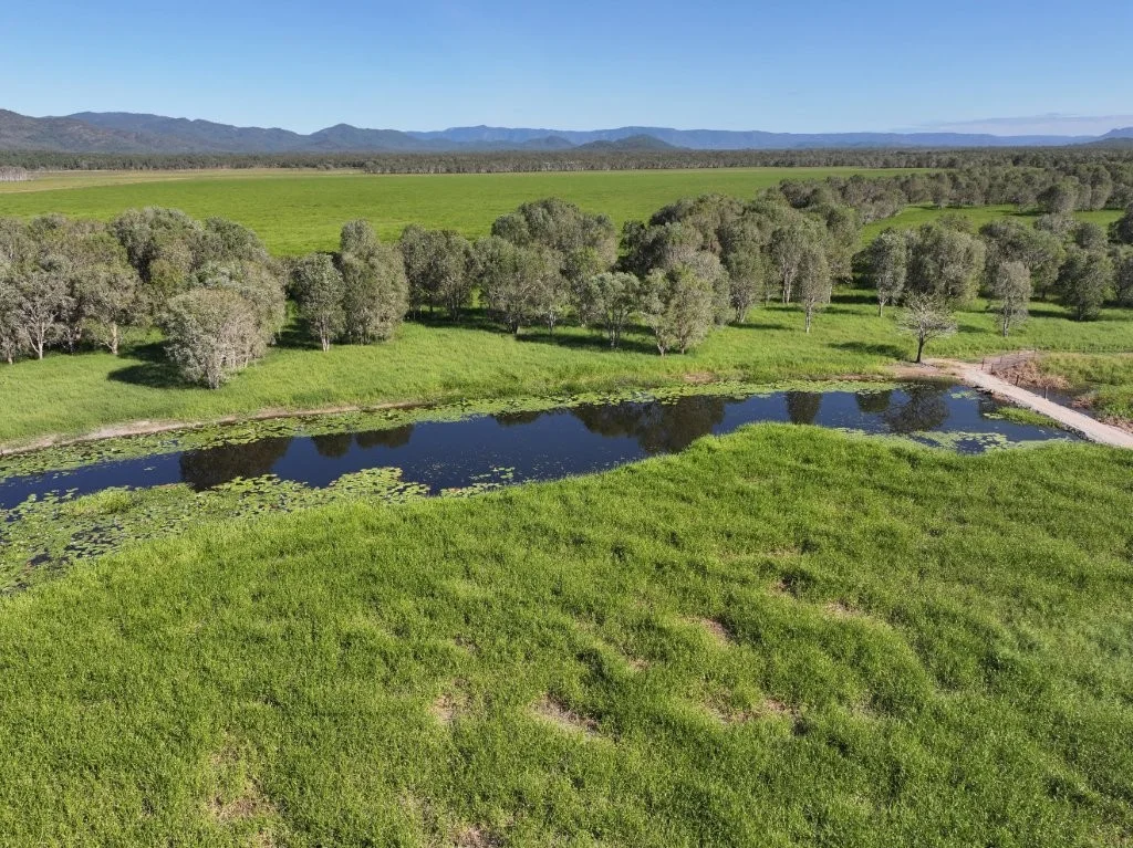Additional image 17 of Pomona Road, Ingham QLD 4850