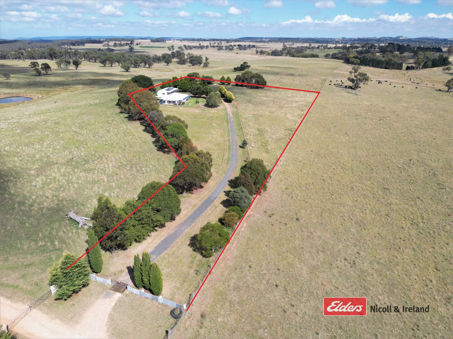 100 Pitlochry Road, Neville NSW 2799 House for Sale Domain