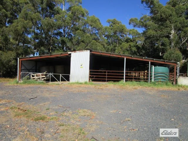 Image 6