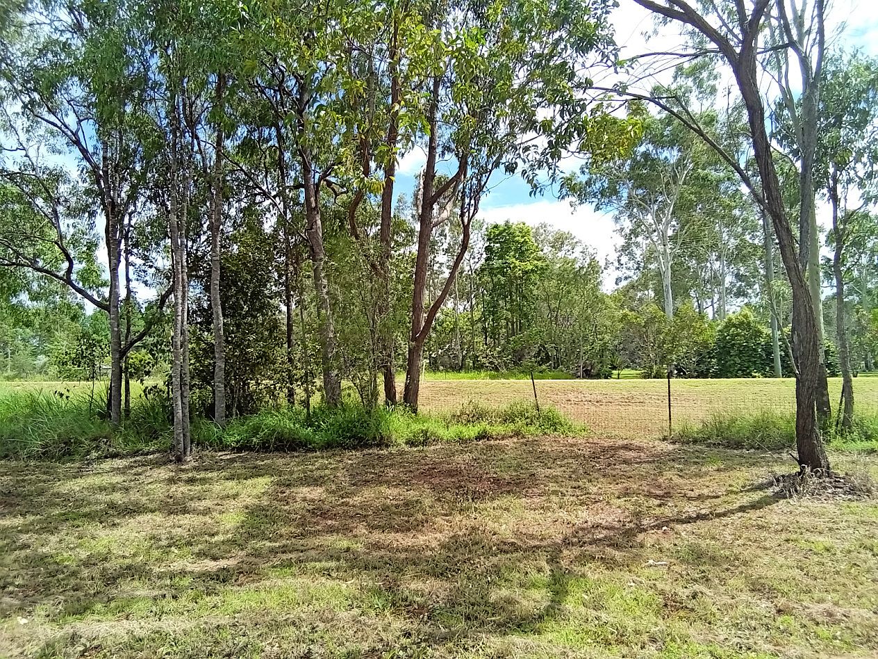 455 Millstream Pde, Millstream QLD 4888, Image 2