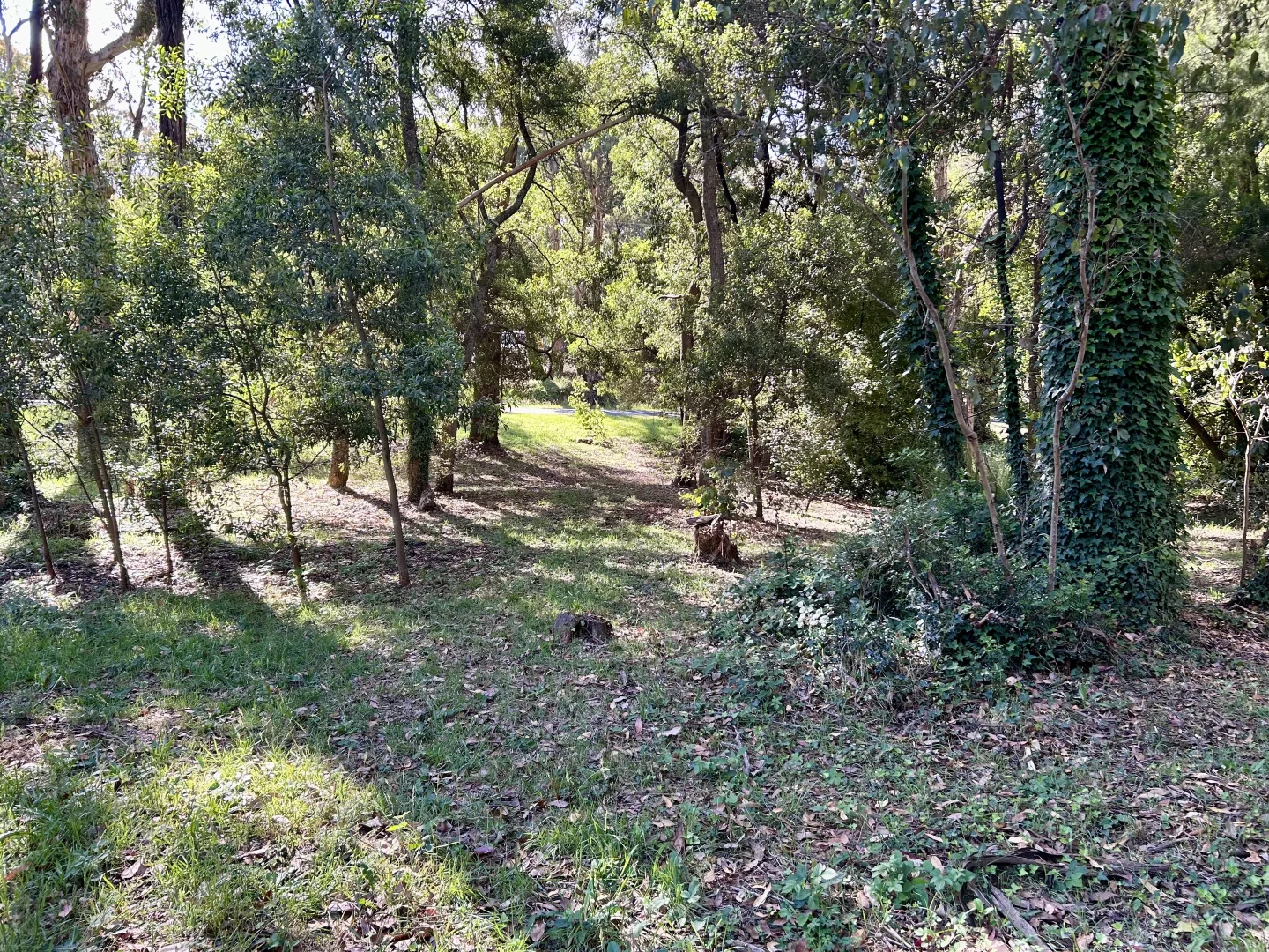 Image 6