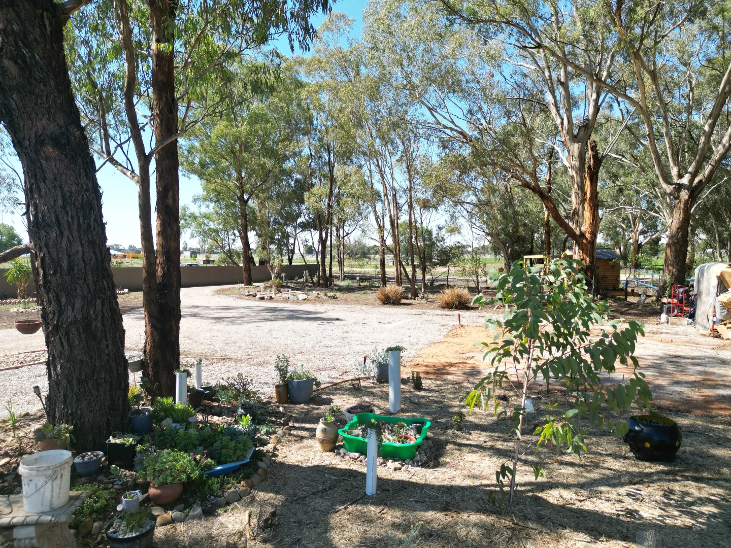 Additional image 10 of 42-46 High Street, Berrigan NSW 2712