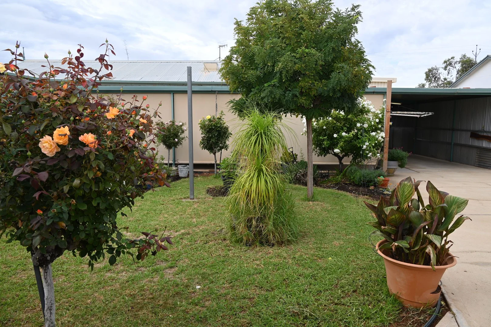 Additional image 2 of 6 Gouge Street, Morgan SA 5320