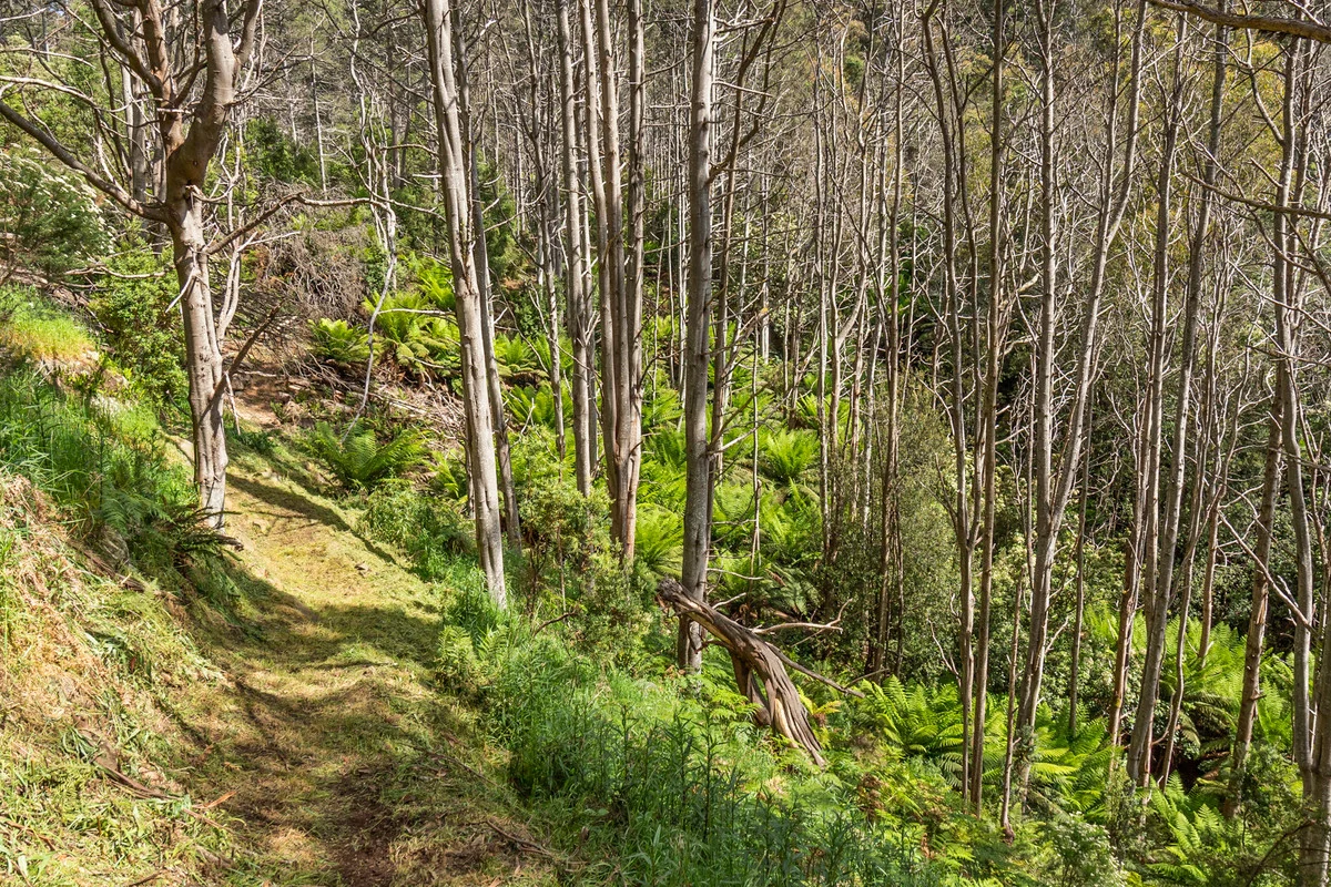 Image 10