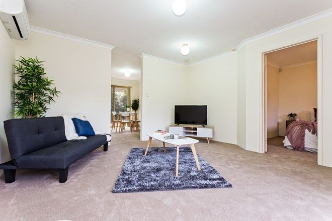Picture of 3/59 Teague Street, VICTORIA PARK WA 6100