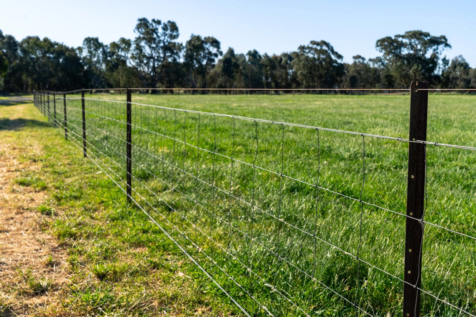 Additional image 21 of 619 Glenrowan West Road, Glenrowan West VIC 3675