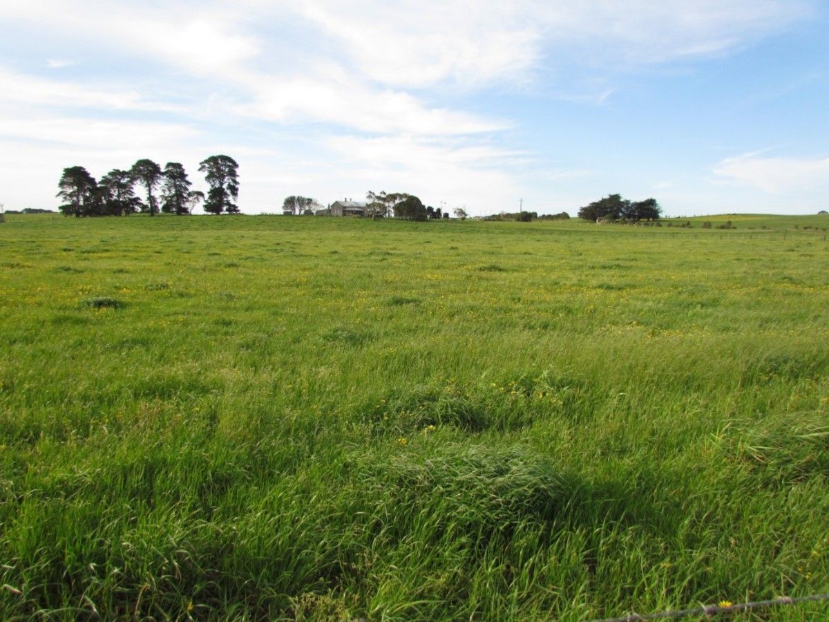 Lot 51 Buck Road, Moorak SA 5291, Image 0