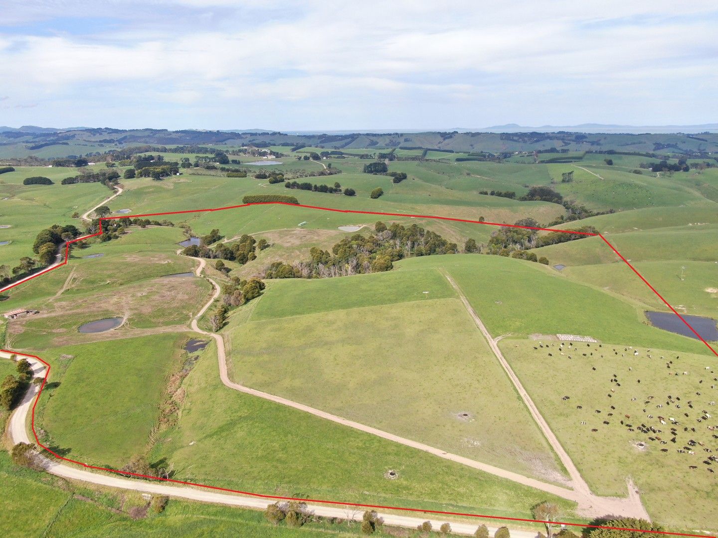 500 Buffalo North Road, Buffalo VIC 3958 House for Sale 940,000