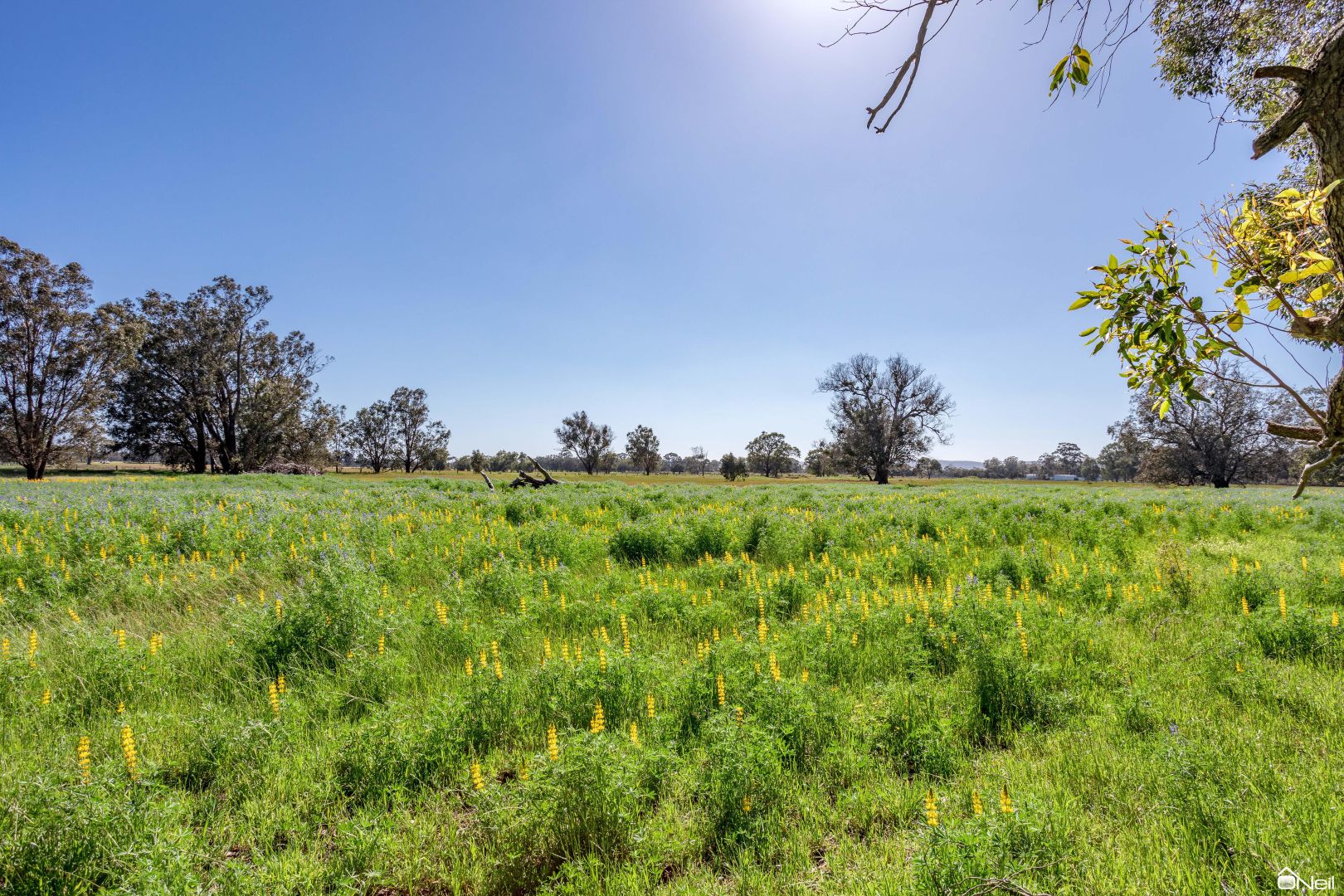 Lot 728 Lowlands Road, Mardella WA 6125, Image 1