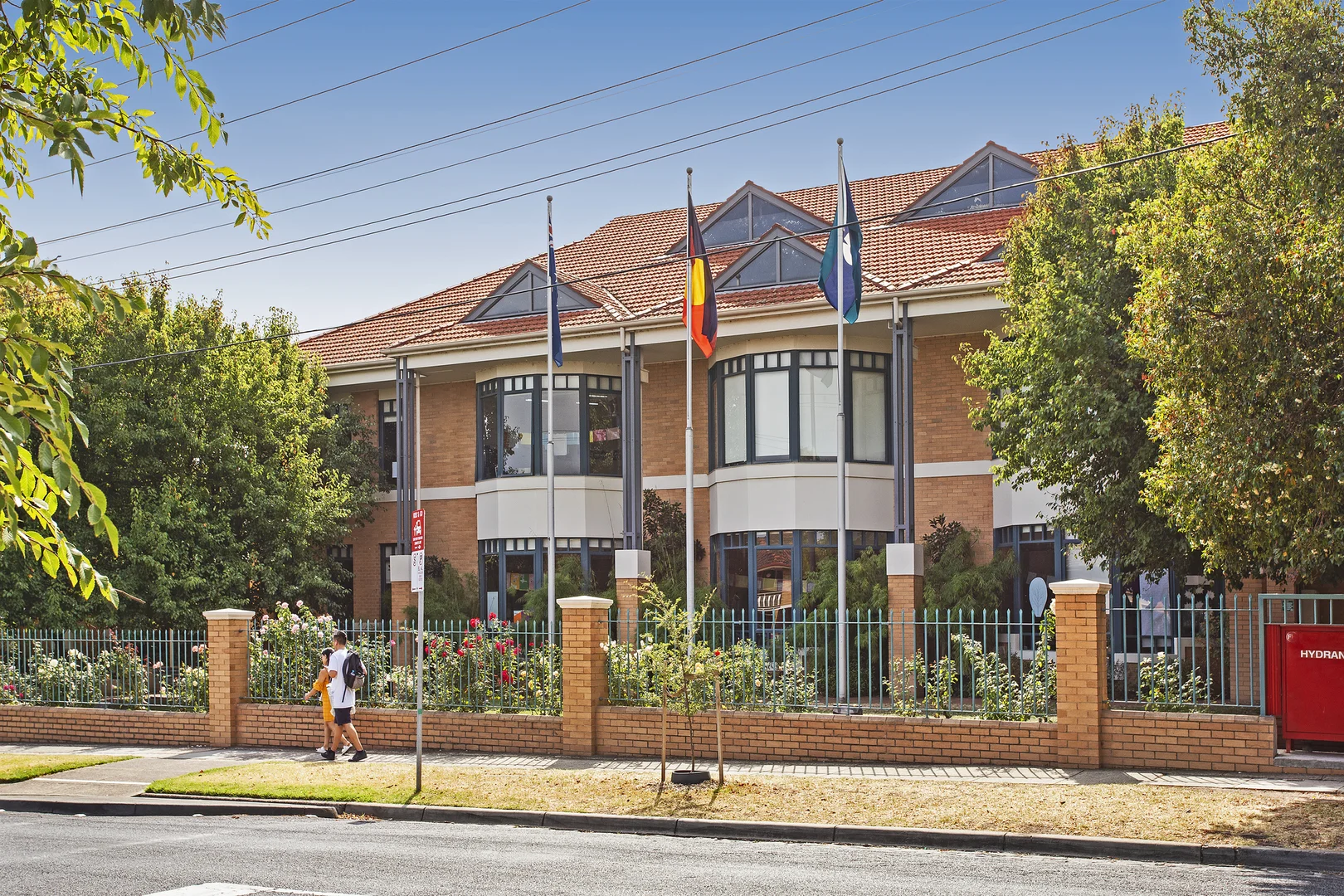 Image 7
