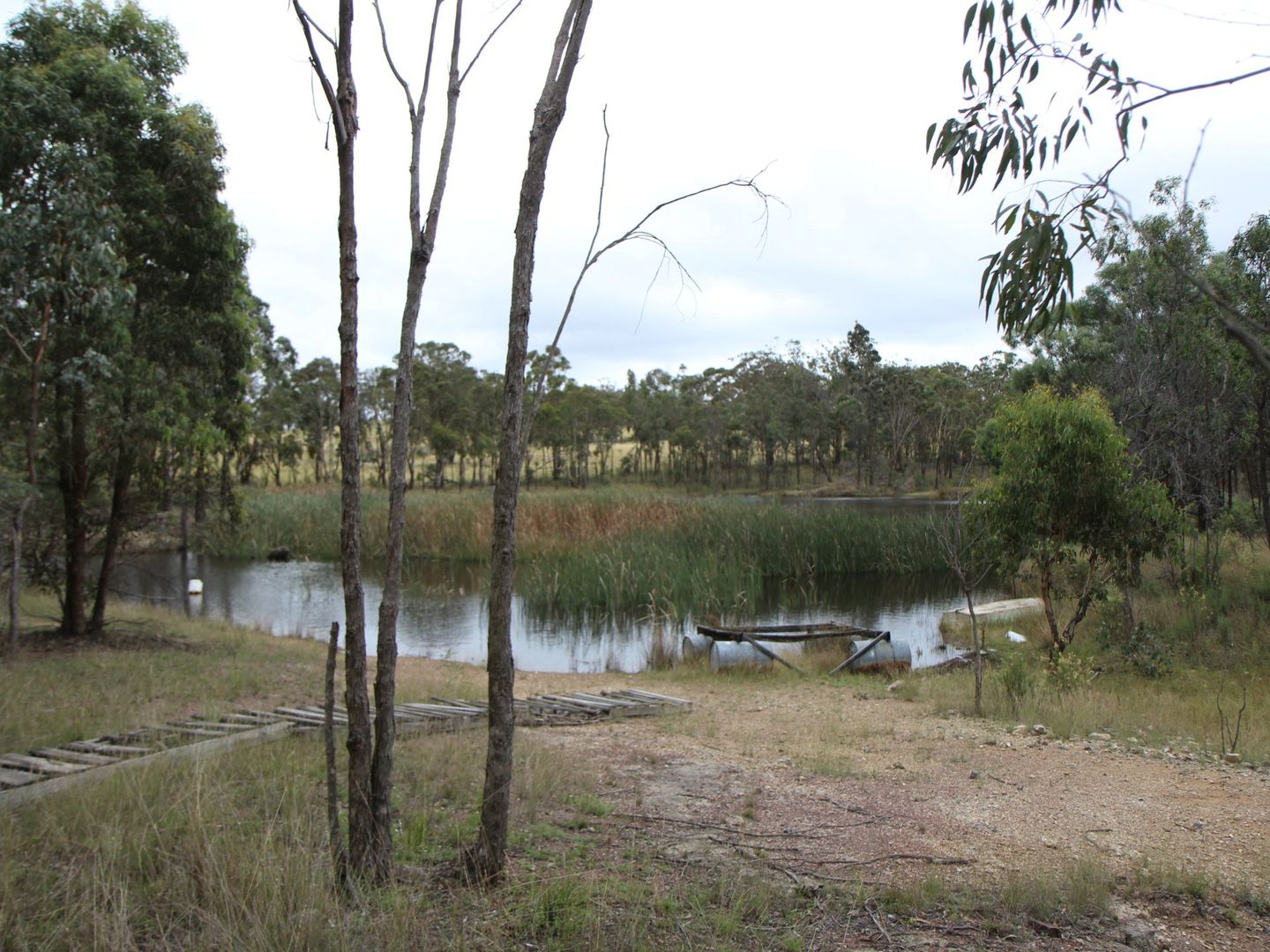 LOT 33 Wellington Vale Road, Emmaville NSW 2371, Image 1