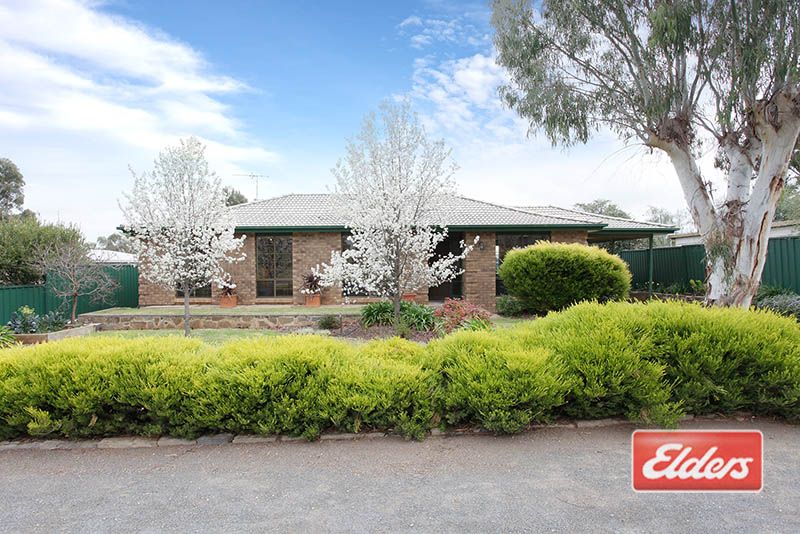 4 Shannon Street, Kapunda SA 5373, Image 0