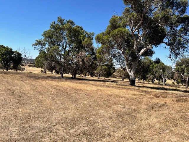 Additional image 14 of 1271 Dobaderry Road, York WA 6302