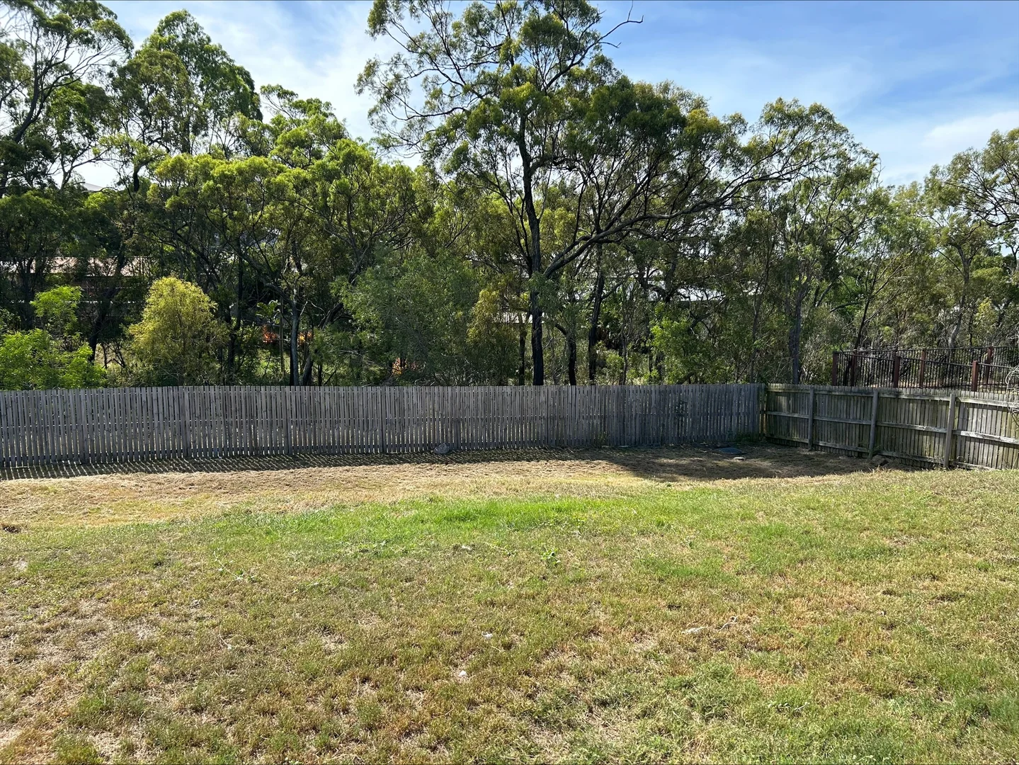 Additional image 10 of 62 Cavella Drive, Glen Eden QLD 4680