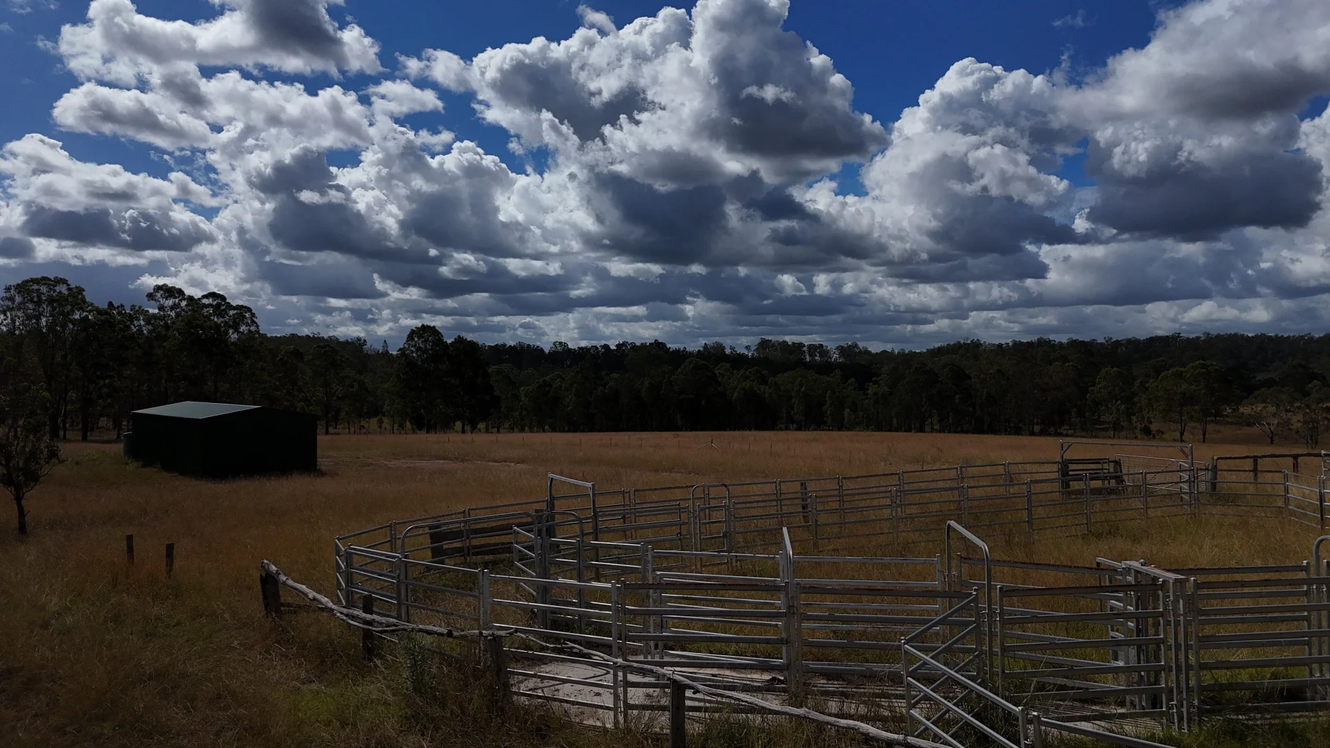 Image 11