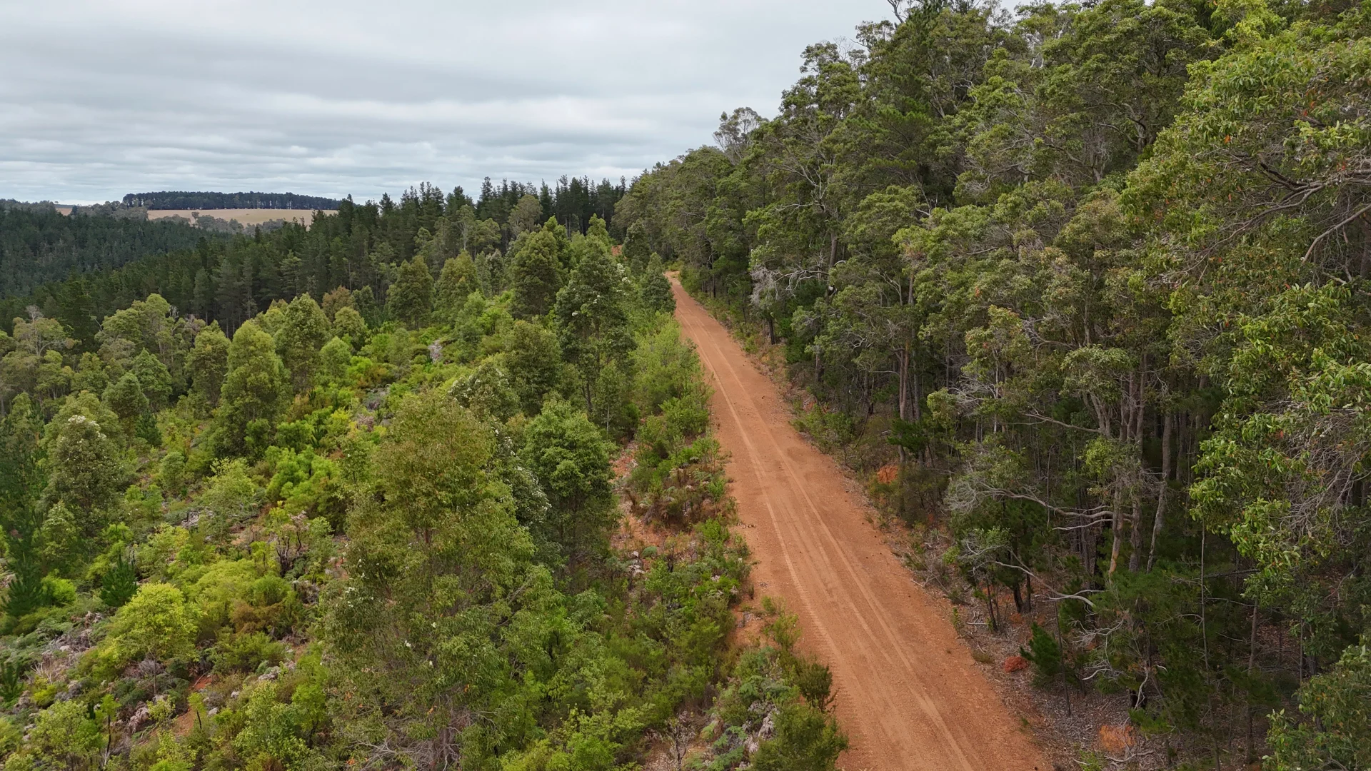 Additional image 6 of Lot 100 Brockman Highway, East Nannup WA 6275