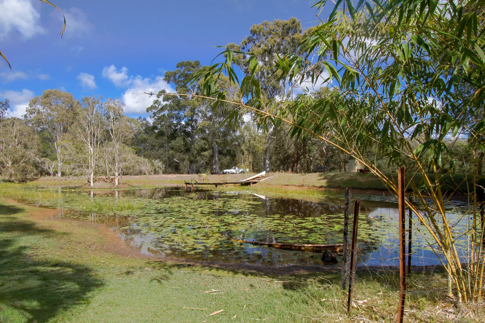 Image 29