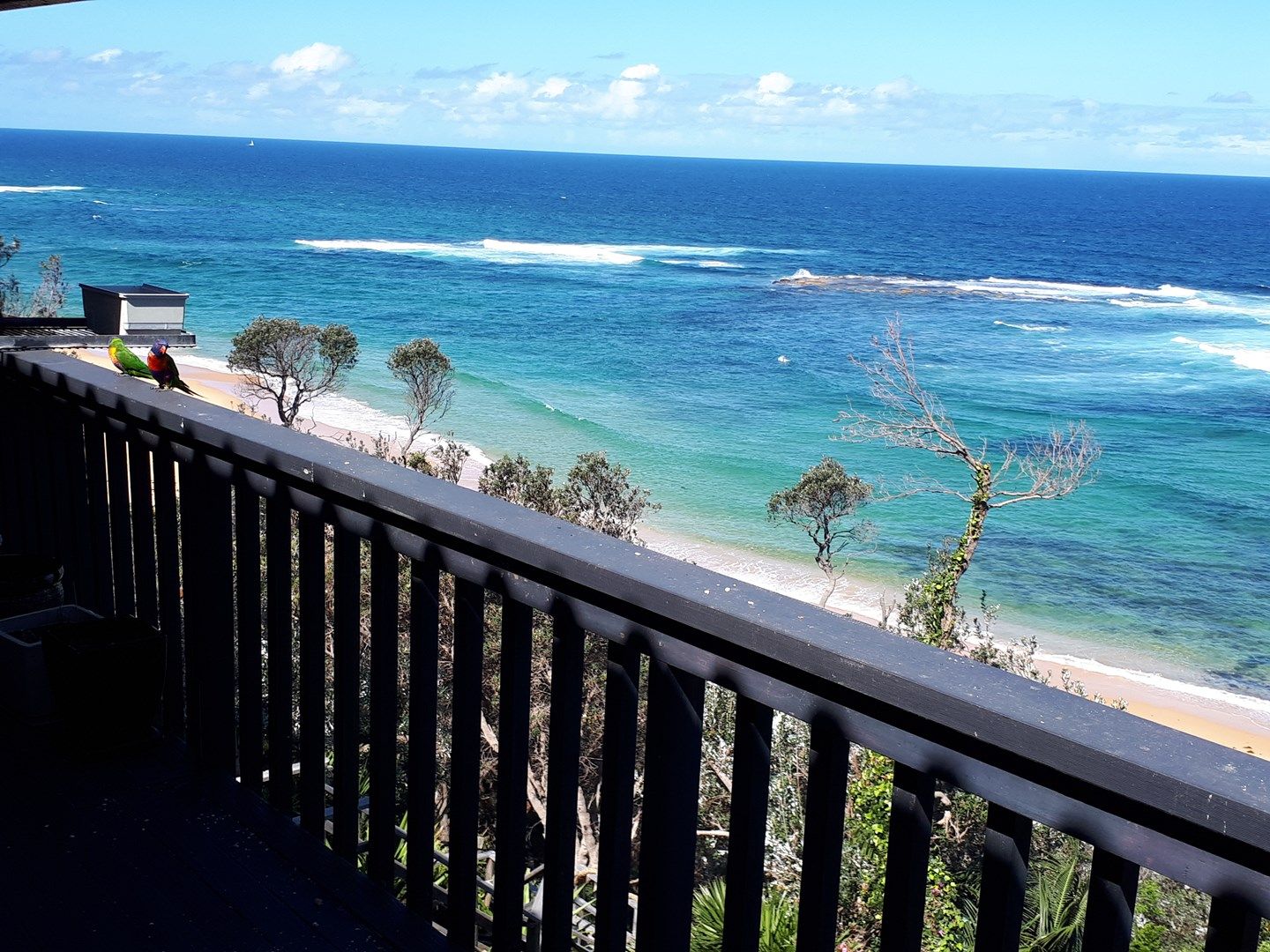 1 bedrooms House in 6/60 Kalakau Avenue FORRESTERS BEACH NSW, 2260