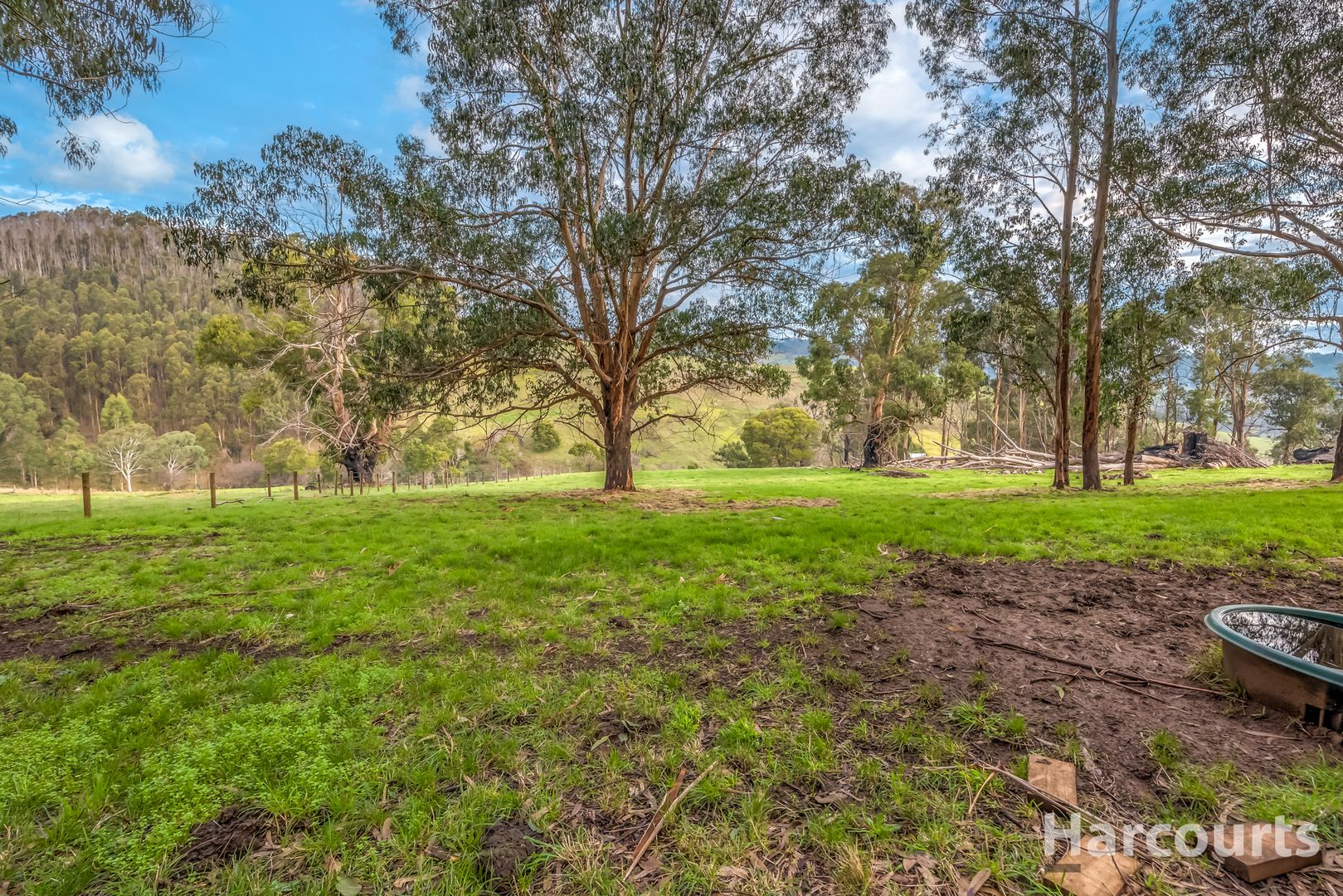 114 Healeys Road, Yinnar South VIC 3869 Domain