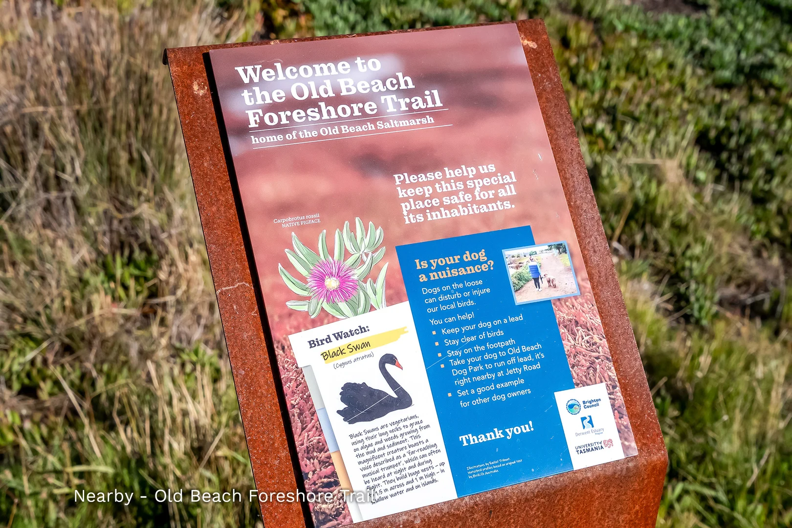 Additional image 50 of 7 Arbie Lane, Old Beach TAS 7017