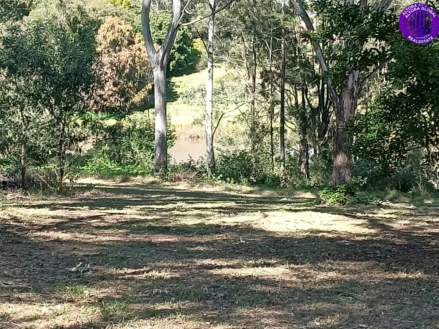 Image 21