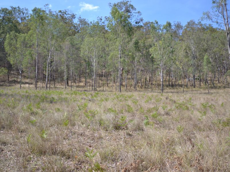 Lot 2 Esk Hampton Road, Redbank Creek QLD 4312, Image 1