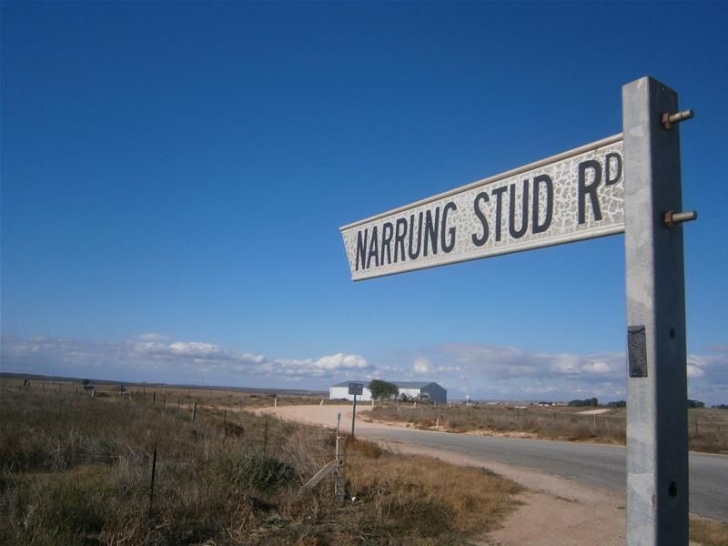 Lot 6 Narrung Stud Road, Narrung SA 5259, Image 0