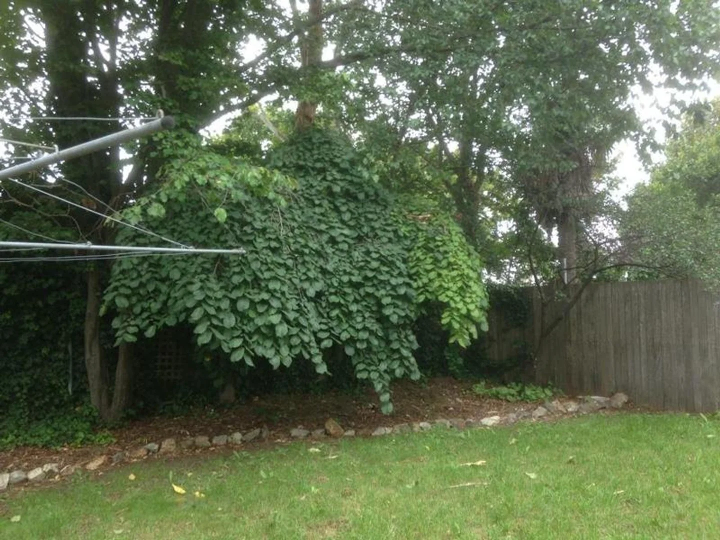 Additional image 13 of 7 McKeon Avenue, Armidale NSW 2350