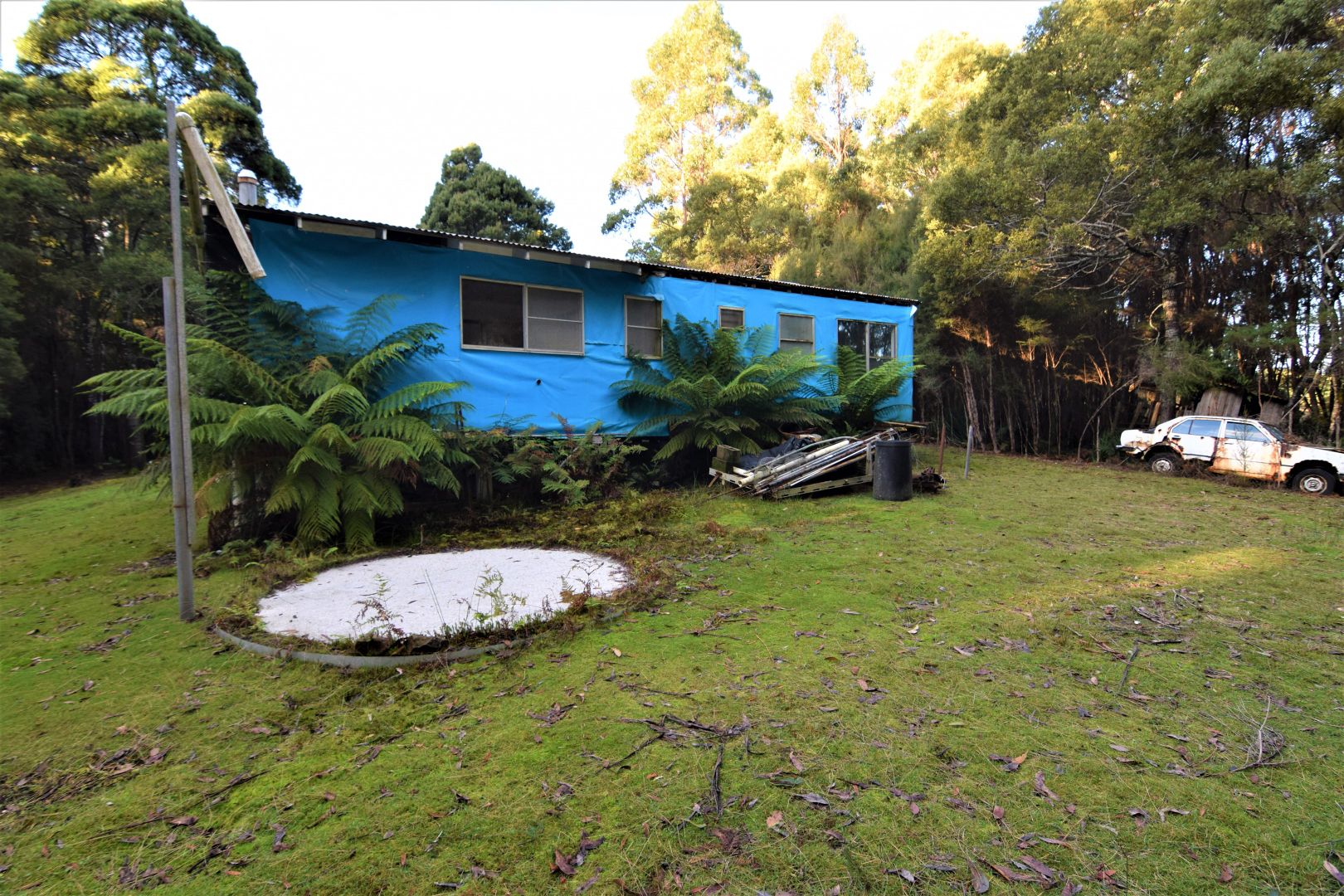 1224 Preolenna Road, Moorleah TAS 7325, Image 2