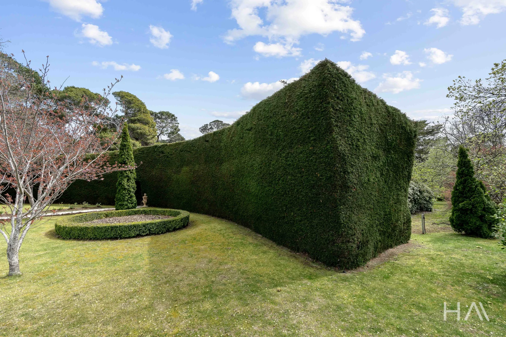 Image 31