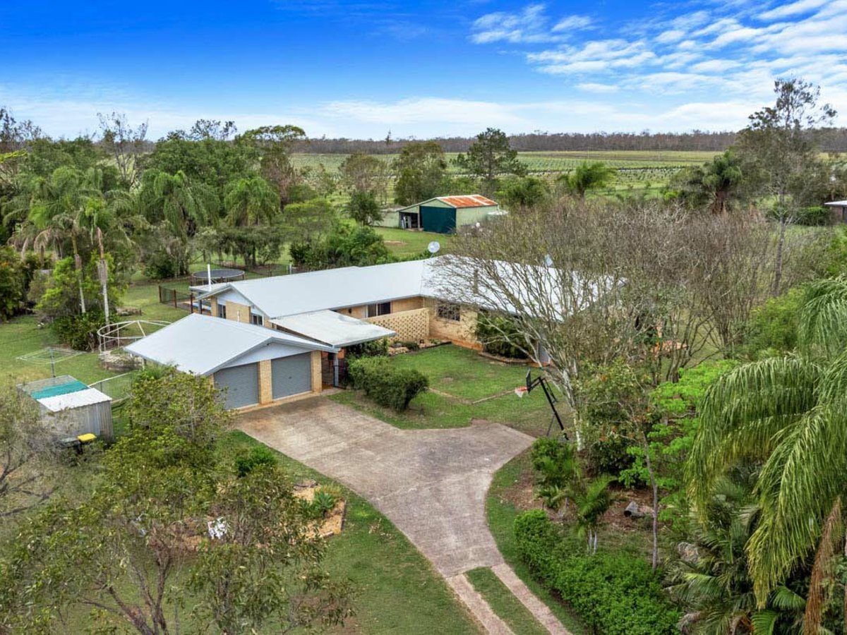 203 Bidwill Road, Bidwill QLD 4650, Image 2