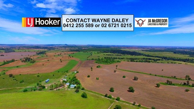 Picture of 6805 Warialda Road, YETMAN NSW 2410