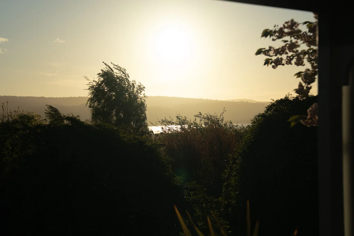 Image 29